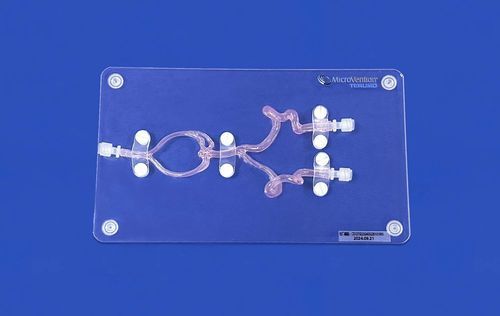 Modelo vascular cerebral - SJX005D - Trando 3D Medical Technology - intracraneal / de vasos sanguíneos / de neurocirugía