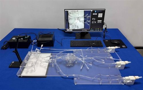 Simulador de punción - SJZ002D - Trando 3D Medical Technology - de angiografía / de formación / para atención general