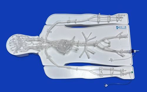 Modelo vascular intracraneal - FAC007D - Trando 3D Medical Technology - de corazón / de abdomen / torácico