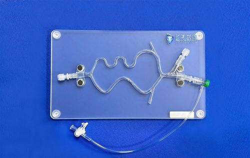 Modelo vascular de sistema nervioso - SJV015 - Trando 3D Medical Technology - de cerebro / cerebral / intracraneal