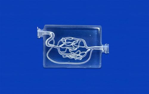 Modelo vascular de cerebro - SJV008 - Trando 3D Medical Technology - cerebral / de vasos sanguíneos / de arteria cerebral