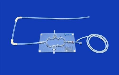 Modelo vascular de sistema nervioso - SJV008 - Trando 3D Medical Technology - de cerebro / cerebral / intracraneal