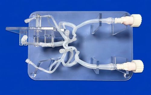Modelo vascular de sistema nervioso - SJV007 - Trando 3D Medical Technology - de cerebro / cerebral / intracraneal