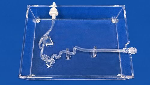 Modelo vascular de arteria carótida - SJV004 - Trando 3D Medical Technology - de la arteria carótida interna / de la arteria cerebral anterior / de la arteria cerebral media
