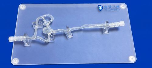 Modelo vascular de la arteria cerebral anterior - SJV002 - Trando 3D Medical Technology - de la arteria cerebral media / de la arteria carótida interna derecha / de la arteria carótida interna izquierda