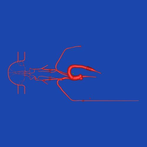 Modelo vascular de cuerpo entero - SJ001D-019 - Trando 3D Medical Technology - de vasos sanguíneos / de formación / transparente