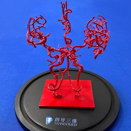 Modelo vascular cerebral - YZ002 - Trando 3D Medical Technology - de formación / transparente / flexible