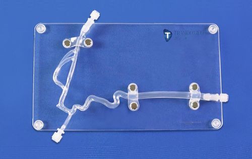 Modelo anatómico de arteria - SJJ004D - Trando 3D Medical Technology - de arteria carótida / de vasos sanguíneos / de neurocirugía