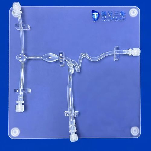 Modelo vascular de arteria carótida - SJX007 - Trando 3D Medical Technology - de vasos sanguíneos / de neurocirugía / de formación