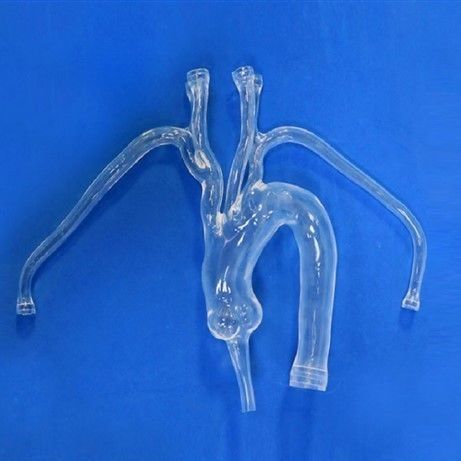 Modelo vascular de arteria - XX001D1-01 - Trando 3D Medical Technology - de la arteria carótida común izquierda / de la arteria carótida común derecha / de aorta torácica