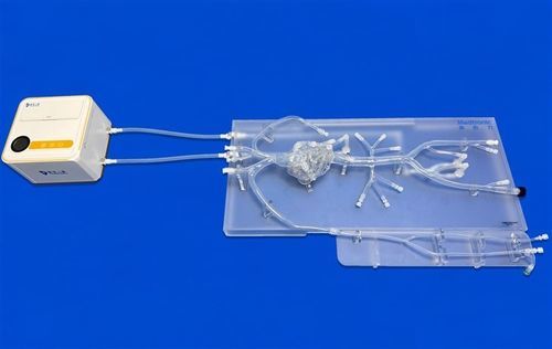 Modelo vascular de corazón - XXD001 - Trando 3D Medical Technology - de arteria femoral / de arterias coronarias / de arteria radial