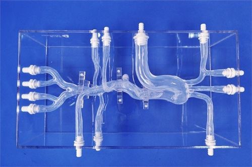 Modelo vascular de arteria femoral - Trando 3D Medical Technology - de la arteria subclavia / de aorta torácica / arteria ilíaca