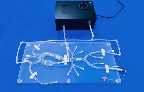 Modelo vascular de la arteria subclavia - Trando 3D Medical Technology - de arteria femoral / de aorta torácica / arteria ilíaca