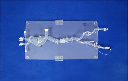 Modelo vascular de arteria femoral - XXD019 - Trando 3D Medical Technology - de aorta torácica / arteria ilíaca / aorta abdominal