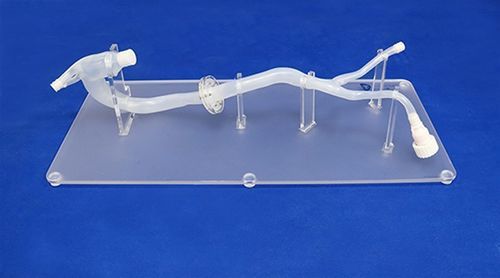 Modelo vascular de aorta torácica - XXD026 - Trando 3D Medical Technology - arteria ilíaca / aorta abdominal / de arteria femoral