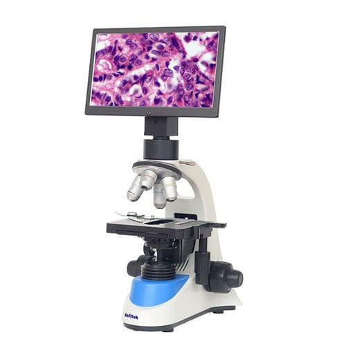 Videomicroscopio digital - MSC-V208 - Infitek - de laboratorio / recto / plan apocromáticos