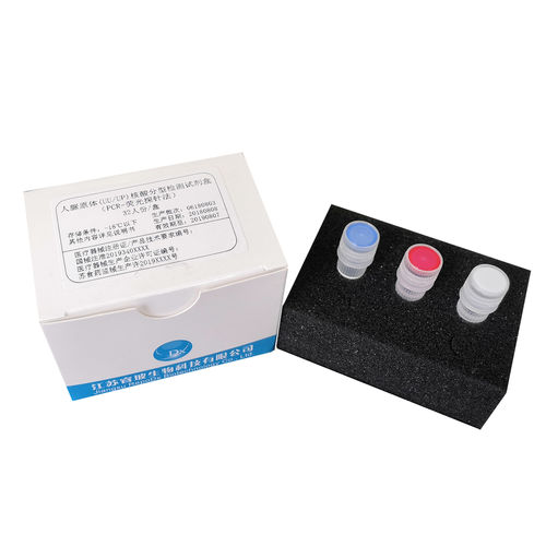 Kit de prueba para enfermermedades infecciosas - JiangsuRepoDx Biotechnology Co., Ltd - de Ureaplasma urealyticum / de Ureaplasma parvum / en tiempo real