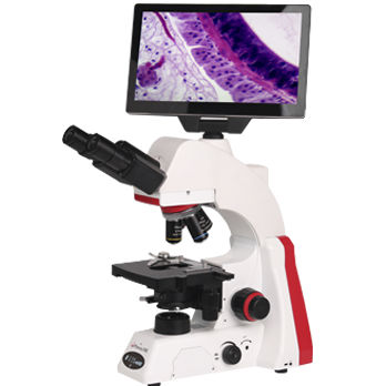 Microscopio digital - BMC100  - Phenix Optics Co., Ltd. - óptico / de laboratorio / para la investigación