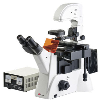 Microscopio de fluorescencia - PH-YGD - Phenix Optics Co., Ltd. - óptico / de laboratorio / biológico
