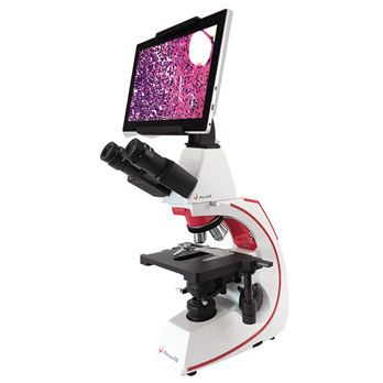 Microscopio óptico - BMC500 series - Phenix Optics Co., Ltd. - digital / de laboratorio / biológico
