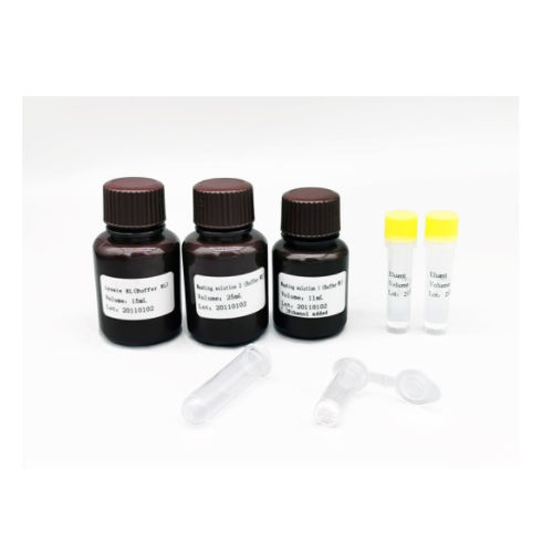 Kit de reactivos solución tampón - MABSKY BIO-TECH CO.，LTD - clínico / para PCR / de ácidos nucleicos
