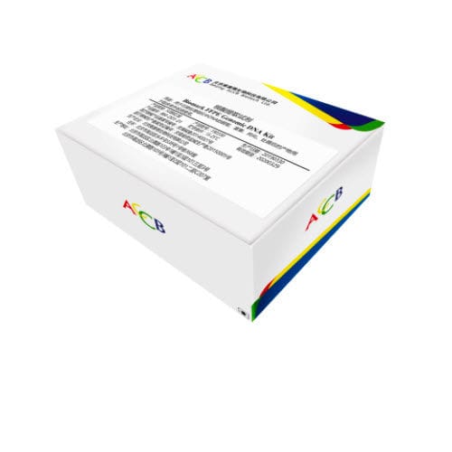 Kit de reactivos enzima - Biomark  - Beijing ACCB Biotech Ltd. - para extracción de ADN / de ADN genómico