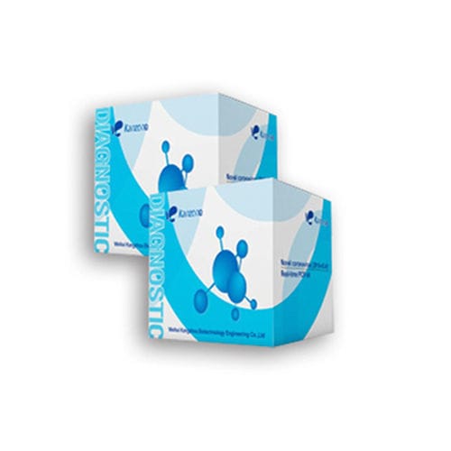 Kit de prueba para COVID-19 - Weihai Kangzhou Biotechnology Engineering - para qPCR / por fluorescencia