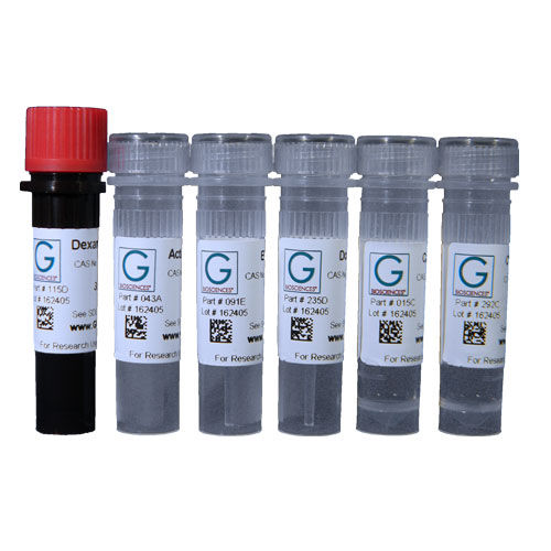 Kit de reactivos en solución - API-16S - G-BIOSCIENCES - enzima / de apoptosis / de proteínas