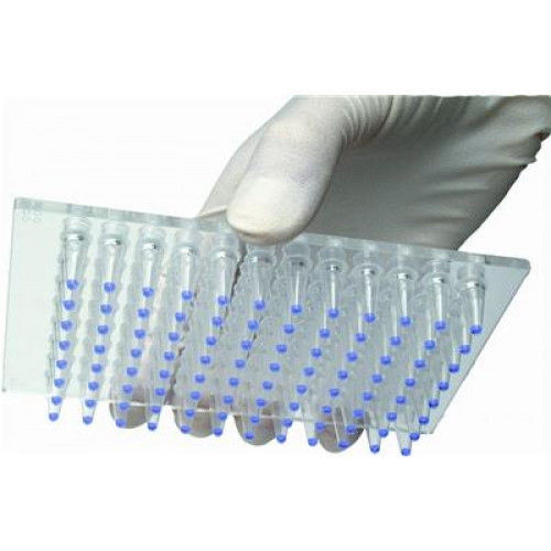 Reactivo solución tampón - Enhancer™ - G-BIOSCIENCES - anticuerpos / para la investigación / de proteínas