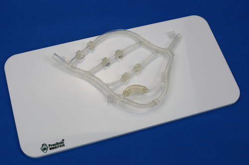 Modelo vascular de vasos sanguíneos - PLXG1014 - Shanghai Preclinic Medtech - para cirugía cardíaca