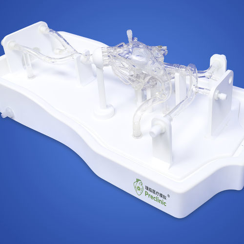 Modelo vascular de seno - PLXG1011 - Shanghai Preclinic Medtech - cardíaco / de vena / de vena cava