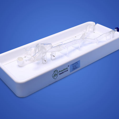 Modelo anatómico de corazón - PLXG1012 - Shanghai Preclinic Medtech - de vena cava / de vena ilíaca / auricular