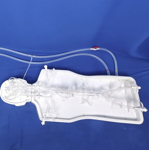 Modelo anatómico intracraneal - PLSJXG001A - Shanghai Preclinic Medtech - de arteria / de aorta torácica / cerebral