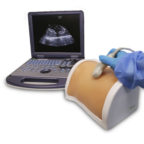 Simulador de punción para nefrolitotomía percutánea - PLMNCS001 - Shanghai Preclinic Medtech - de formación / estación de trabajo / ecoguiado