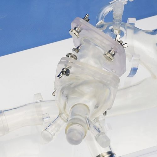 Modelo vascular TAVI - PLXZXG005 - Shanghai Preclinic Medtech - de arteria / de válvula aórtica / de arteria femoral
