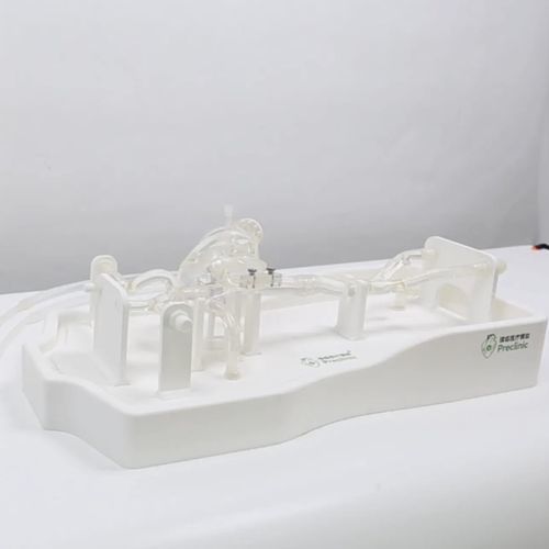 Modelo vascular de seno - PLXZXG001 - Shanghai Preclinic Medtech - de corazón / cardíaco / de vena