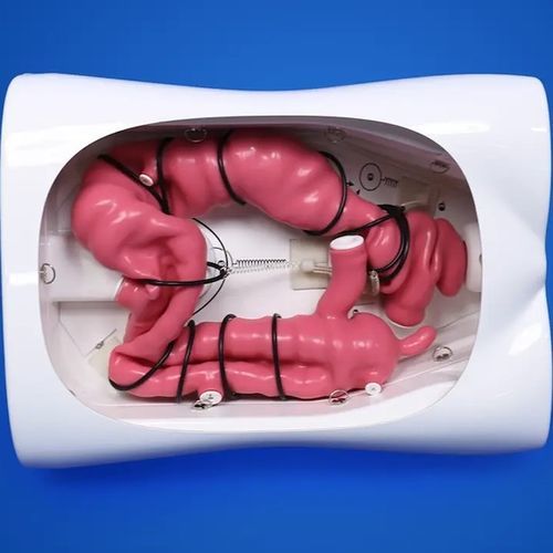 Simulador para entrenamiento endoscópico - PLXH1001 - Shanghai Preclinic Medtech - de formación / de gastroscopia / de colonoscopia