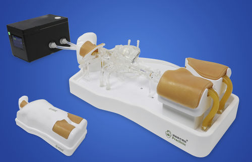Modelo vascular de corazón - Shanghai Preclinic Medtech - de vena / de cirugía / para acceso vascular