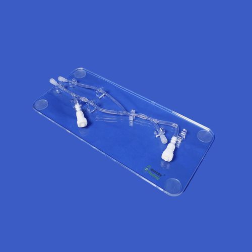 Modelo vascular miembros superiores - PLWZXG001 - Shanghai Preclinic Medtech - de brazo / de la vena cefálica / arteria braquial