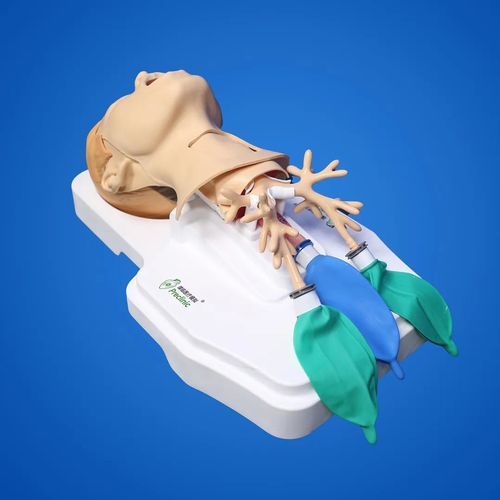 Maniquí de prácticas para cuidados cardiopulmonares - PLHXNJ007 - Shanghai Preclinic Medtech - para cuidados de enfermería / para cuidados intensivos / para cuidados intensivos