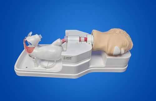 Simulador de gastroscopia - LCWNJ004 - Shanghai Preclinic Medtech - para endoscopia / de disección / para entrenamiento endoscópico