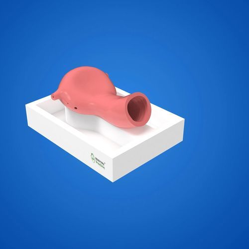 Modelo anatómico de uréter - PLGQNJ002 - Shanghai Preclinic Medtech - de aparato reproductor femenino / de vagina / de útero