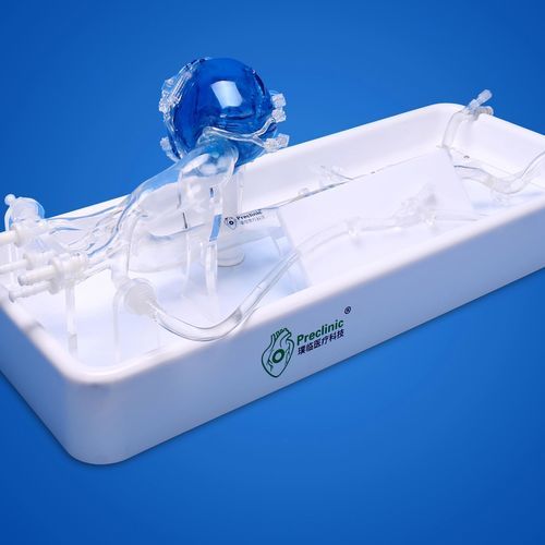 Modelo vascular de arterias coronarias - PLXZXG003 A - Shanghai Preclinic Medtech - de aorta torácica / de arteria radial / de arteria femoral
