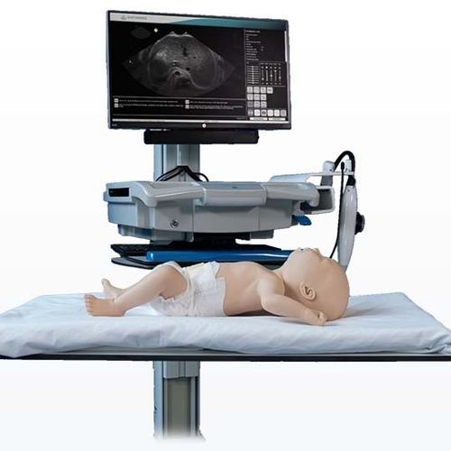 simulador de paciente para ecografía - Intelligent Ultrasound