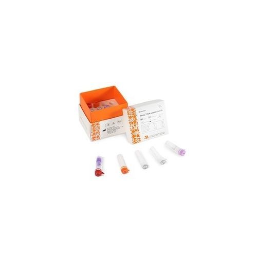 Kit de reactivos en solución - Mmiso® - M Monitor Inc. - para amplificación génica