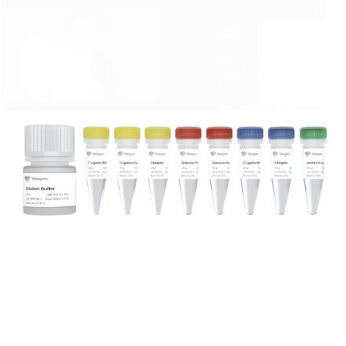 Kit de reactivos en solución - V3 NE103 - Nanjing Vazyme Medical Technology Co.,Ltd - de preparación de bancos de ADN