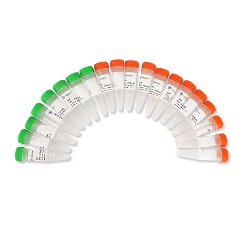 Kit de reactivos en solución - TruePrepTM - Nanjing Vazyme Medical Technology Co.,Ltd - para secuenciación de ADN