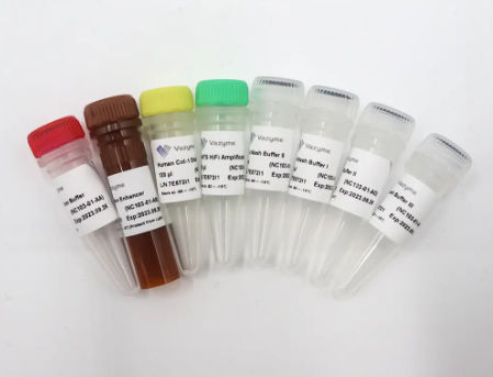 Kit de reactivos en solución - VAHTS - Nanjing Vazyme Medical Technology Co.,Ltd - de hibridación / de limpieza