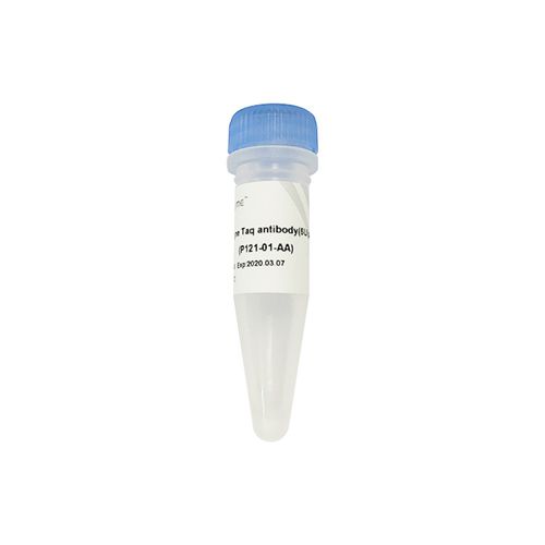 Reactivo anticuerpo monoclonal - P121 - Nanjing Vazyme Medical Technology Co.,Ltd - para biología molecular