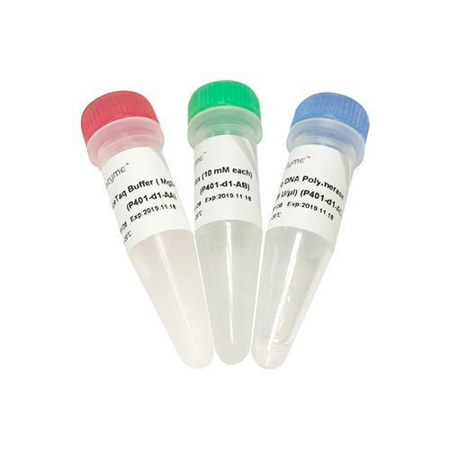 Kit de reactivos ADN polimerasas - AceTaq® - Nanjing Vazyme Medical Technology Co.,Ltd - polimerasa Taq / para preparación de pruebas